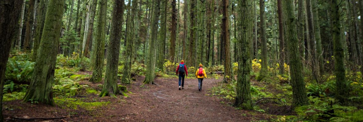 TRAIL MIX: Trans Canada Trail partnership a ‘win-win’ – Travel Industry ...